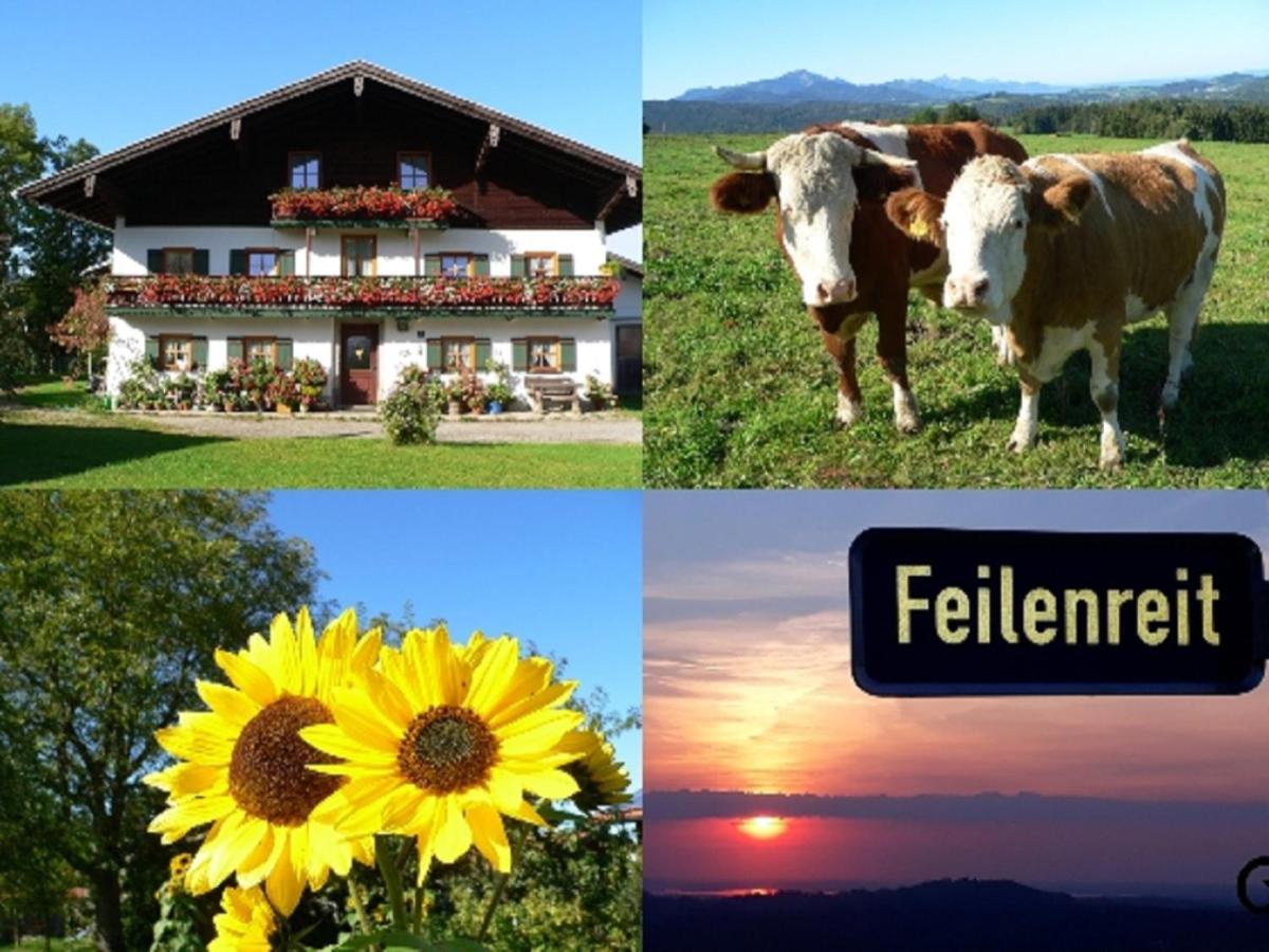 Fembacherhof Зигсдорф Экстерьер фото